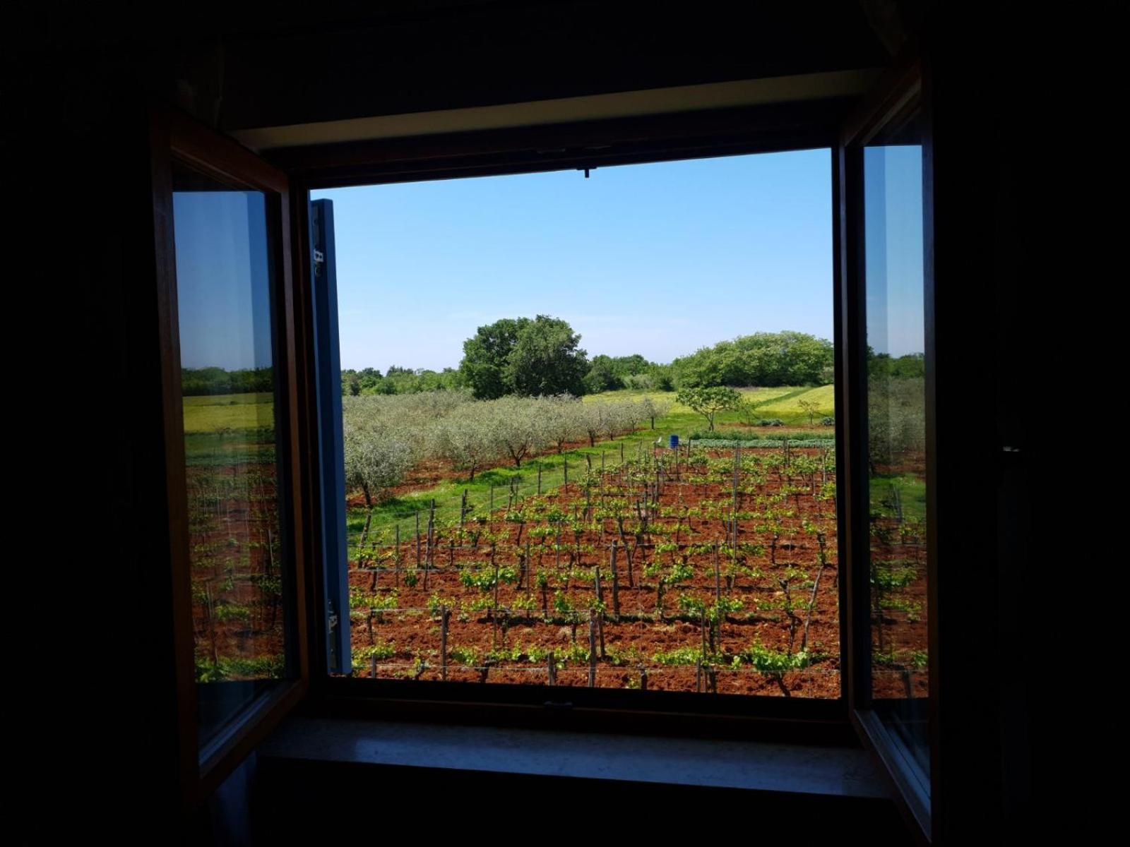 Apartment&rooms Hacienda Stelio Appartement Poreč